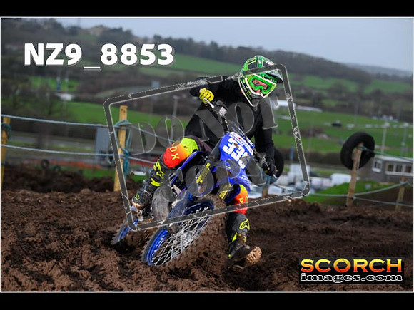 Experts-118