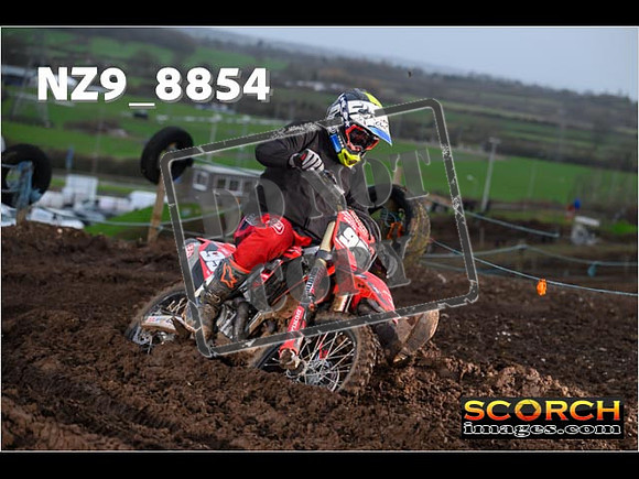 Experts-119