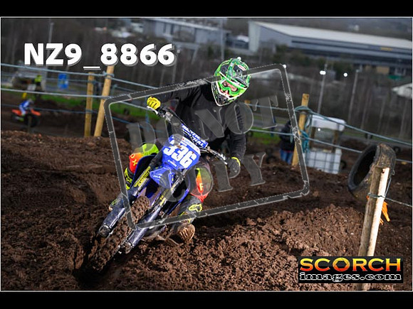 Experts-131
