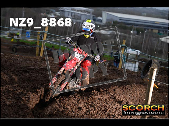 Experts-133