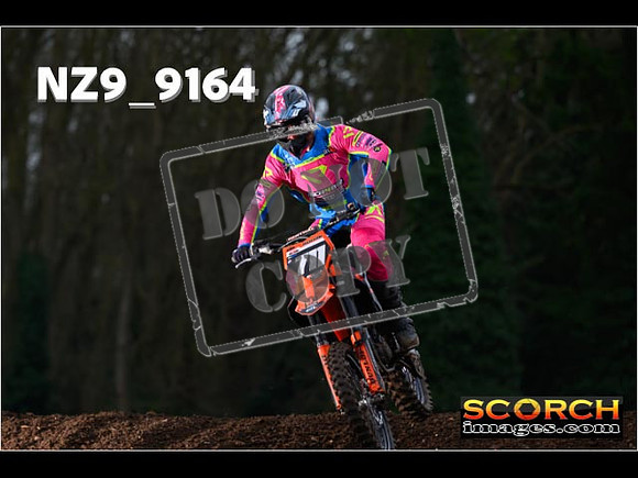 Experts-136