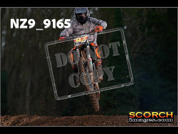 Experts-137