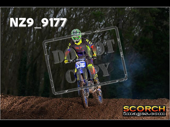 Experts-149