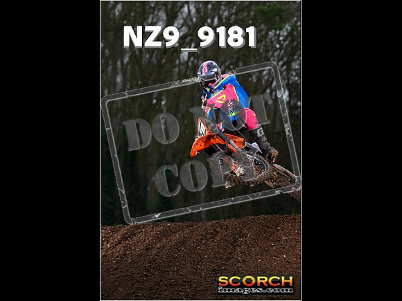Experts-153