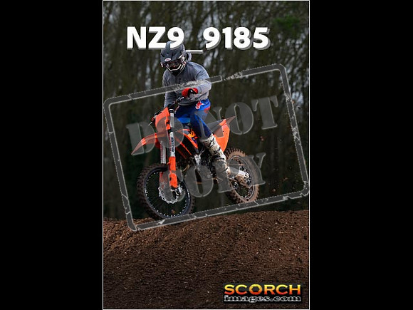 Experts-157