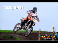 Experts-013