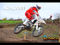 02. Experts