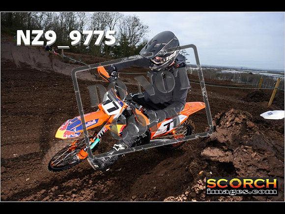 IntersBlue-139