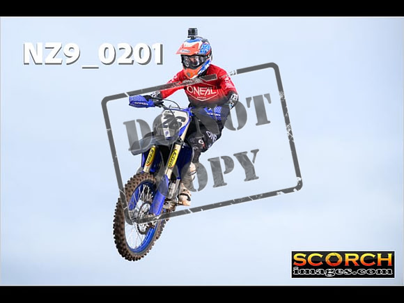 IntersBlue-241