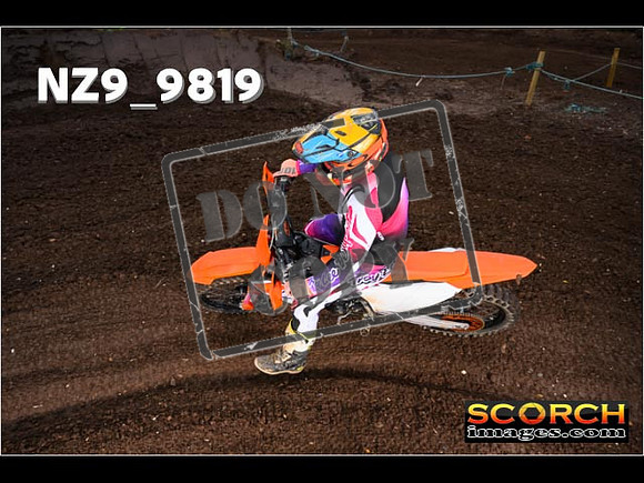 IntersGreenOrange-019