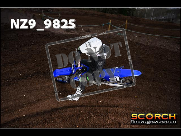 IntersGreenOrange-025
