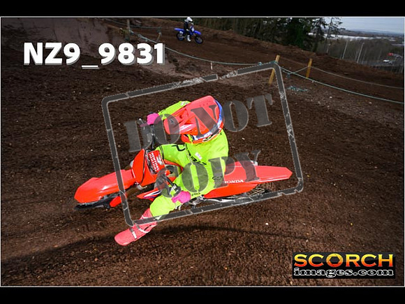 IntersGreenOrange-031
