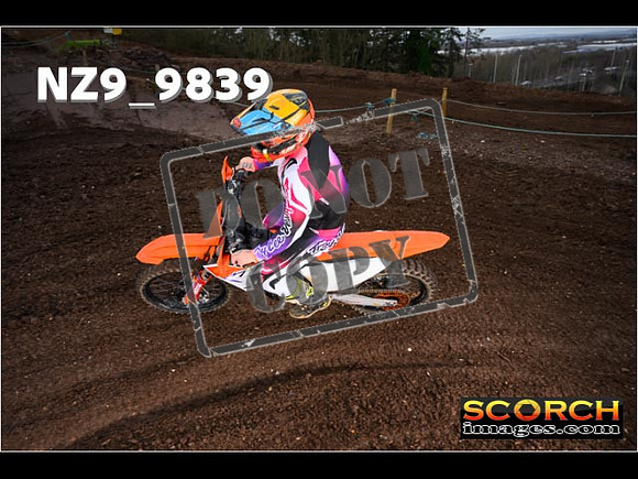 IntersGreenOrange-039