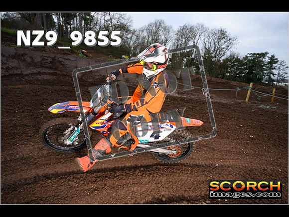 IntersGreenOrange-055