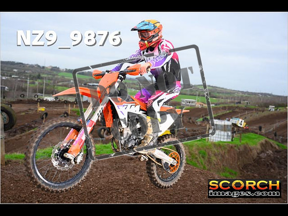 IntersGreenOrange-074