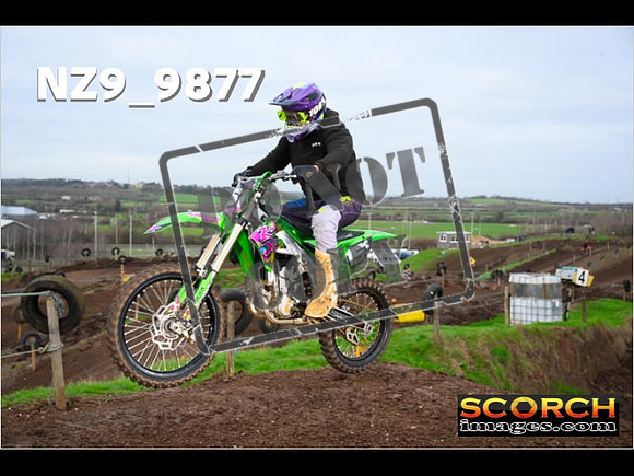 IntersGreenOrange-075