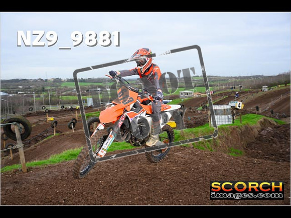 IntersGreenOrange-079