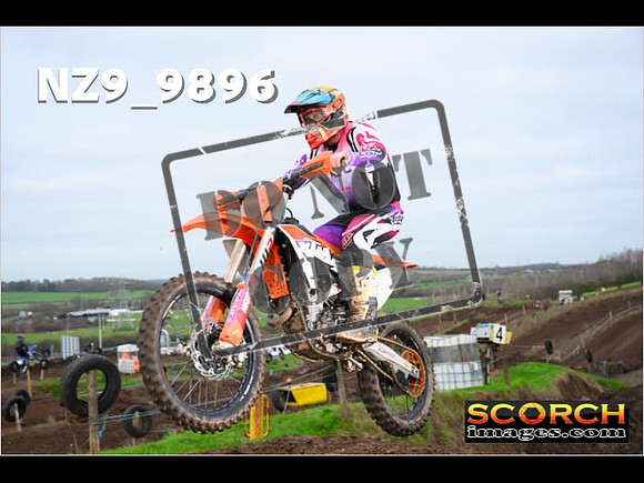 IntersGreenOrange-093