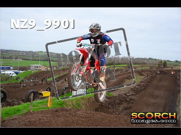 IntersGreenOrange-098