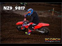 IntersGreenOrange-017