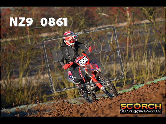 Experts-030