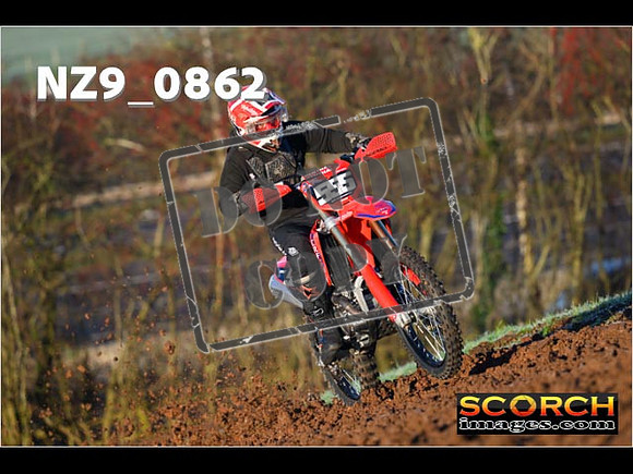 Experts-031