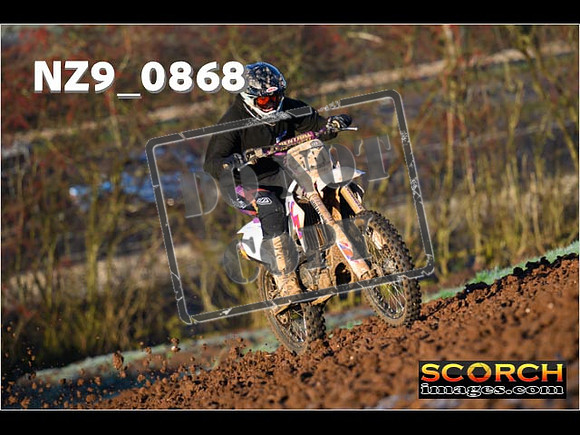 Experts-037