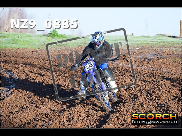 Experts-053