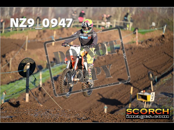 Experts-115