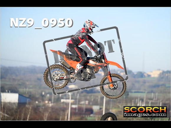 Experts-118
