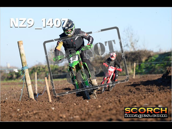 Experts-155