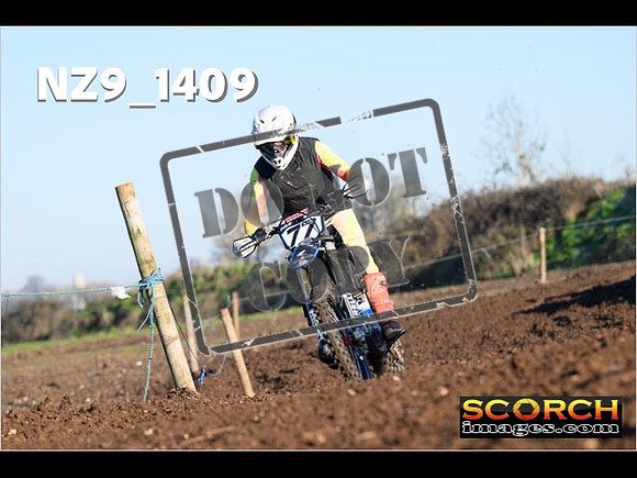 Experts-157