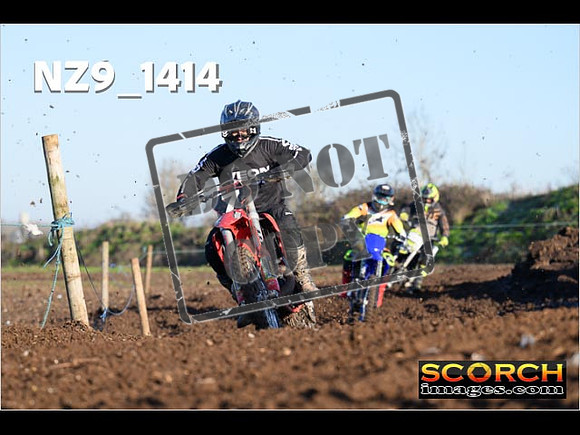 Experts-161
