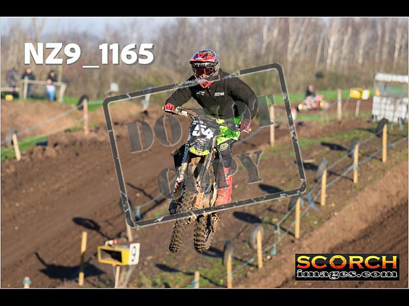 IntersGreen-049