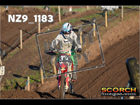 IntersGreen-067