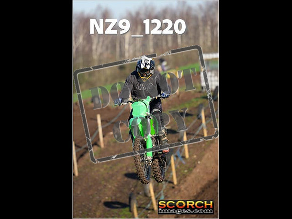 IntersGreen-102