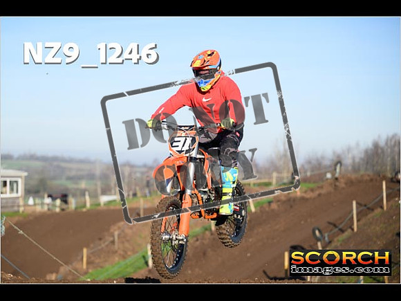 IntersGreen-127