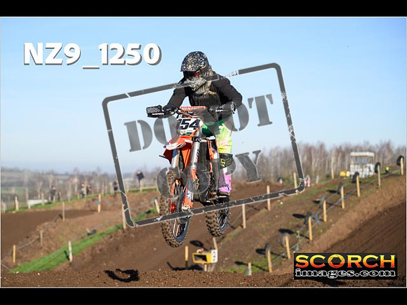 IntersGreen-131