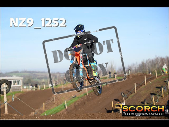 IntersGreen-133