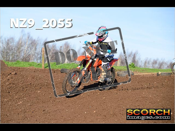 IntersOrange-173