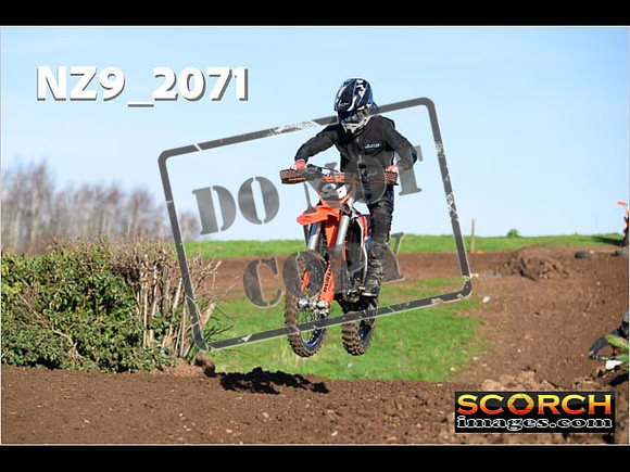 IntersOrange-189