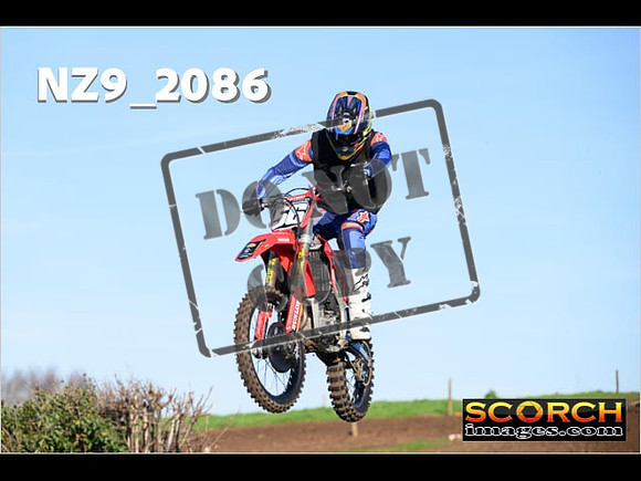 IntersOrange-204