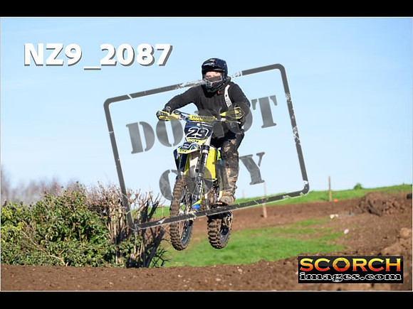 IntersOrange-205