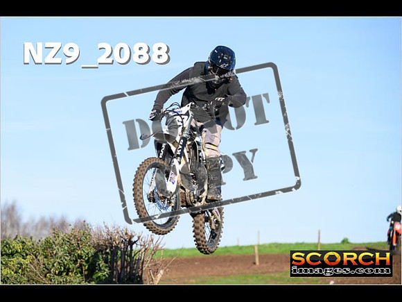 IntersOrange-206