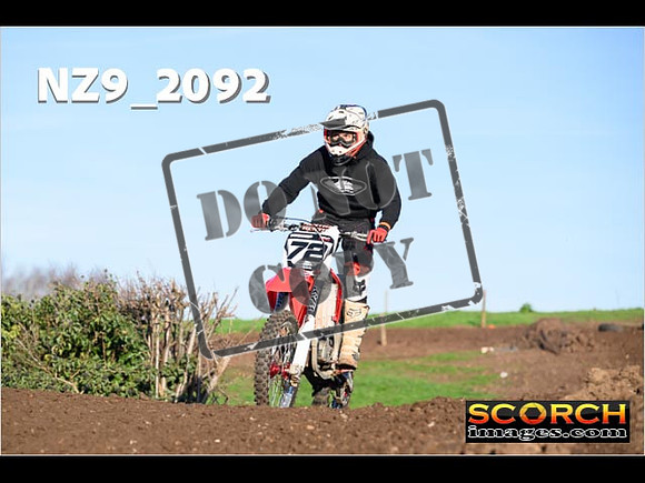 IntersOrange-210