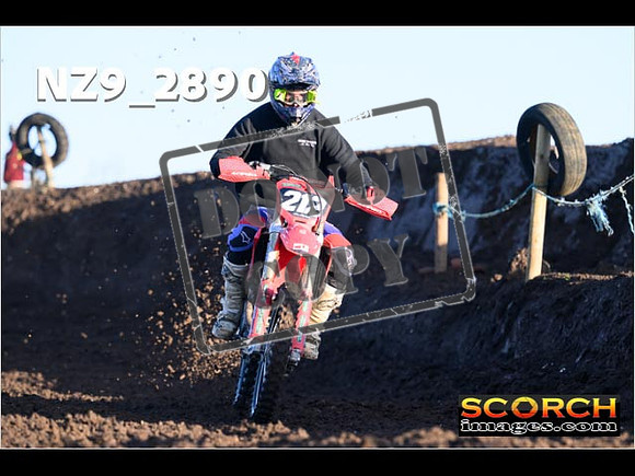 Experts-029