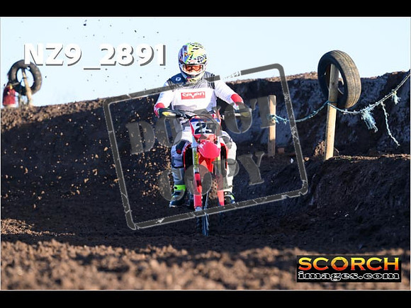 Experts-030