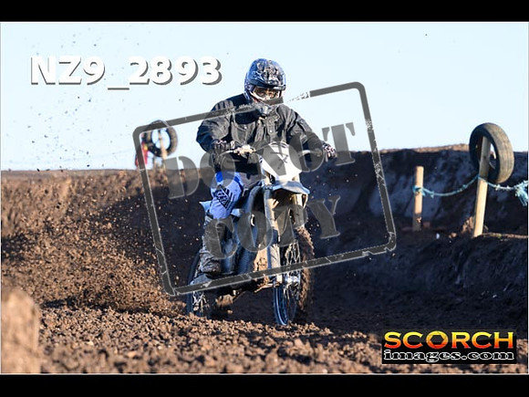 Experts-032