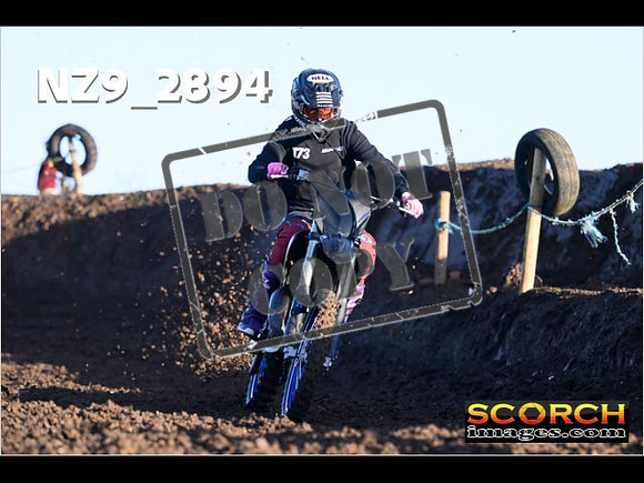 Experts-033