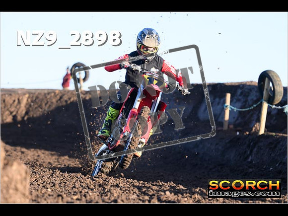 Experts-037